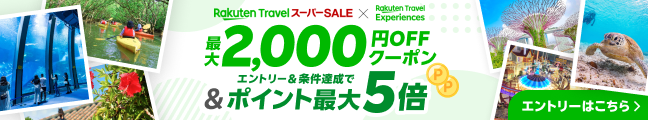 Rakuten sale